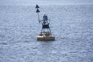 米兰体育网页版-中方蝶泳入水角度更锐利？图解数据分析，中国蝶泳厉害吗